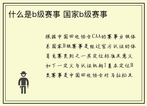 什么是b级赛事 国家b级赛事